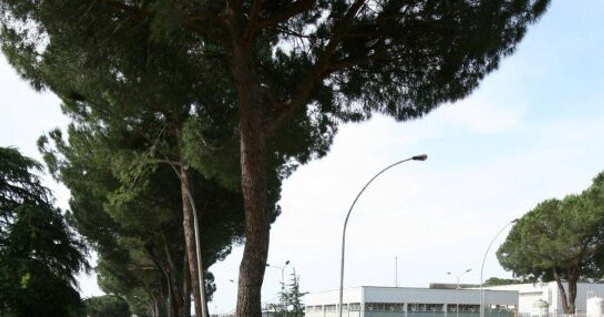 Un operaio contaminato nell'ex sito di Casaccia: Sogin conferma che non è stato un incidente nucleare - 