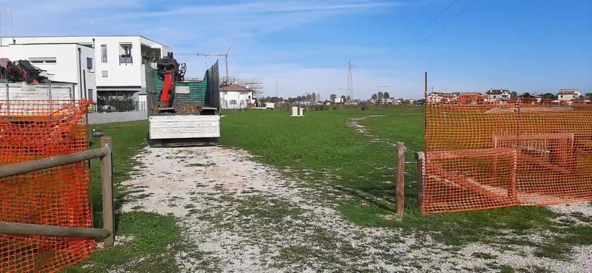 Nuovo bosco urbano a Jesolo: al via la piantumazione di 4.000 piante - 