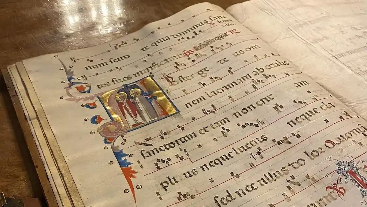 Autunno Musicale 2024: eventi imperdibili a Treviso -