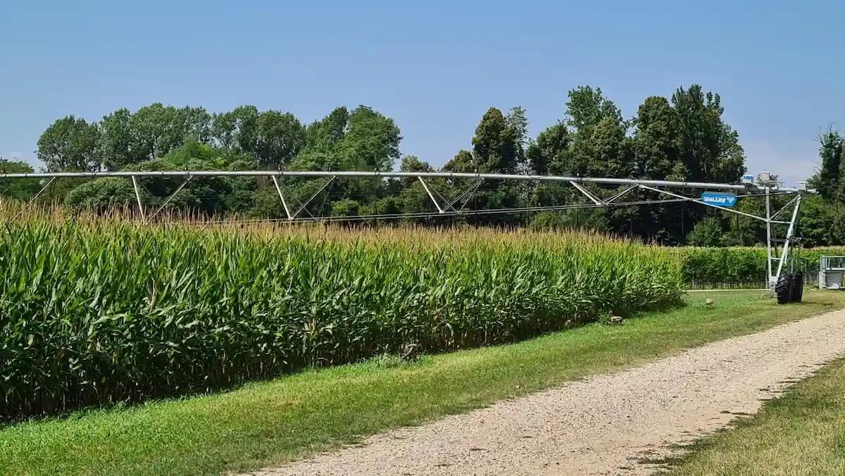 Idrofuture 2024: Il futuro dell’acqua in agricoltura a Udine il 28 novembre - 