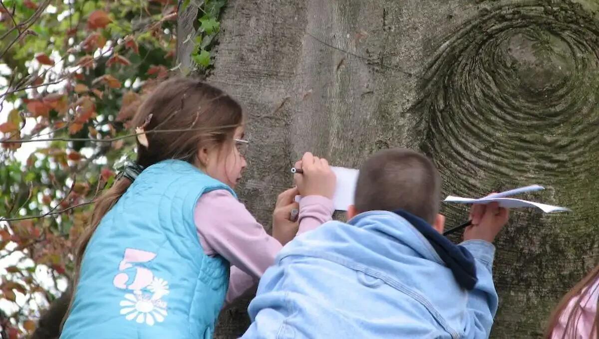 Sostenibilità e memoria: a partire dal 15 novembre il progetto “La memoria del legno” - 