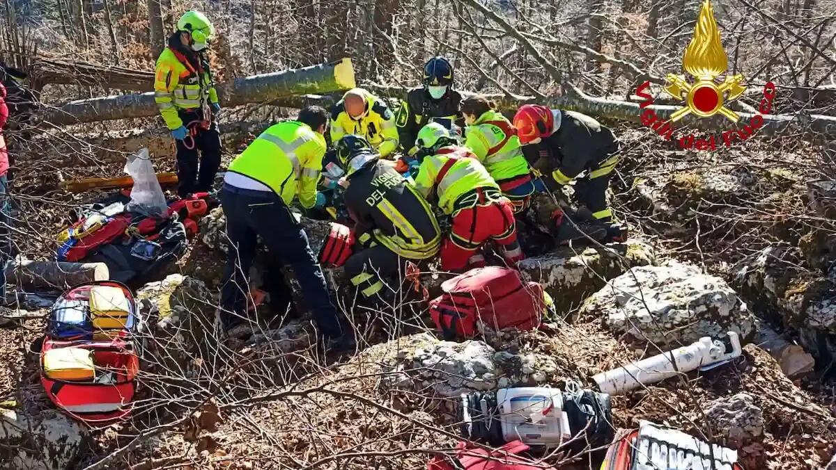 Tragedia nel bosco, 65enne muore schiacciato dall'albero che aveva appena abbattuto - 