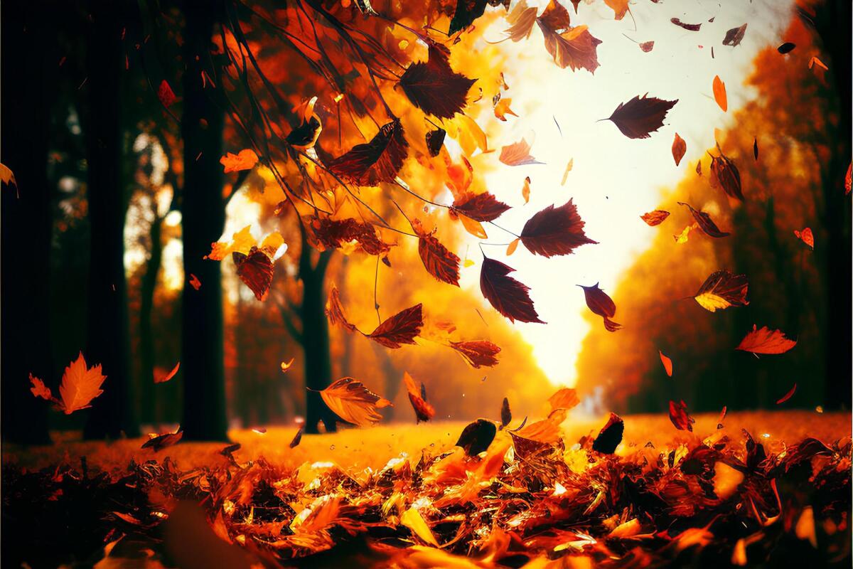 San Martino: date, significato e leggenda dell'estate - 