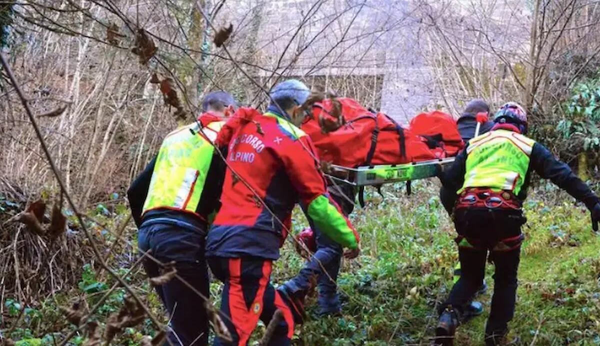 Paura a Povoletto, 51enne travolto da un albero durante il taglio della pianta: è grave - 