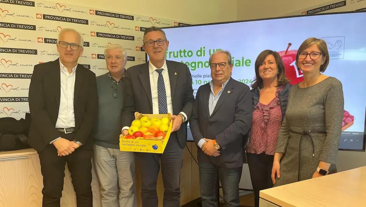 "Frutto di un sostegno sociale": l'iniziativa solidale torna il 10 novembre a Treviso -
