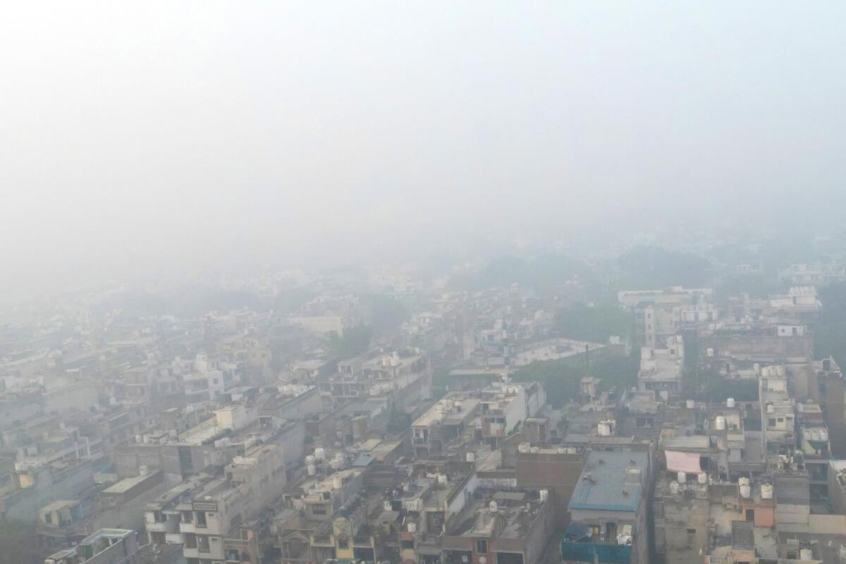 India, Nuova Delhi soffocata dallo smog: 50 volte sopra il limite, scuole chiuse - Video - 