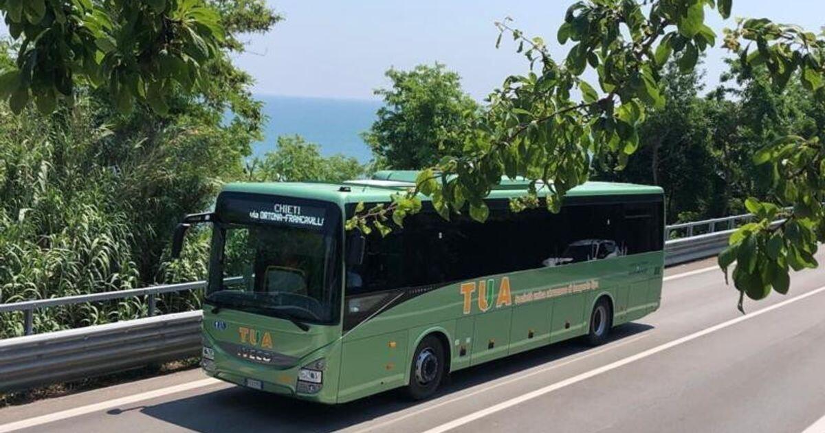 Il bus è in ritardo, padre e figlio aggrediscono l'autista - 