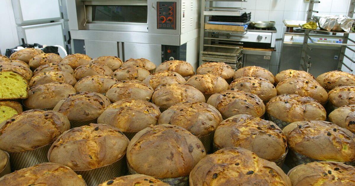 Il panettone artigianale si fa in Campania, non a Milano! - 