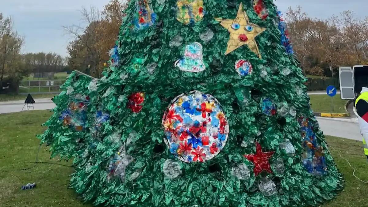 L'albero ecologico di Muggia: una decorazione natalizia a impatto zero - 
