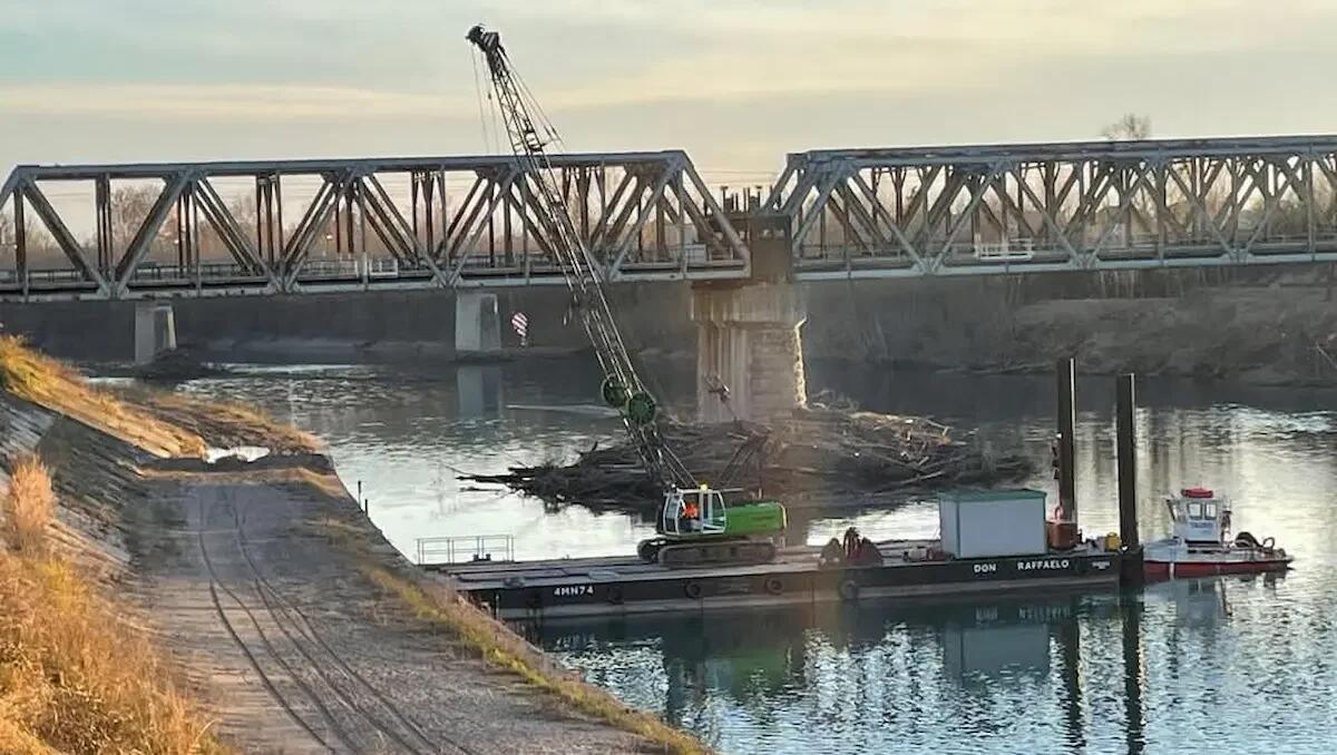 A Latisana via i quintali di tronchi nel fiume Tagliamento: iniziati i lavori - 