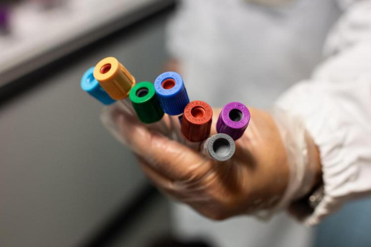 Paziente tornato in Italia dal Congo con febbre: "E' guarito dalla misteriosa malattia" - 