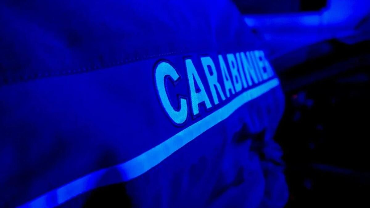 Nascondeva 50gr di cocaina "in pietra" in un doppio fondo nel ripostiglio: arrestato 19enne - 