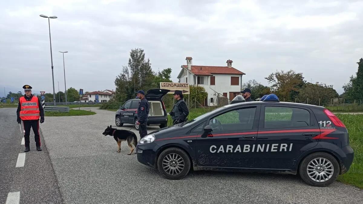 Droga, controlli a scuola. Il cane fiuta l'hashish tra gli studenti - 
