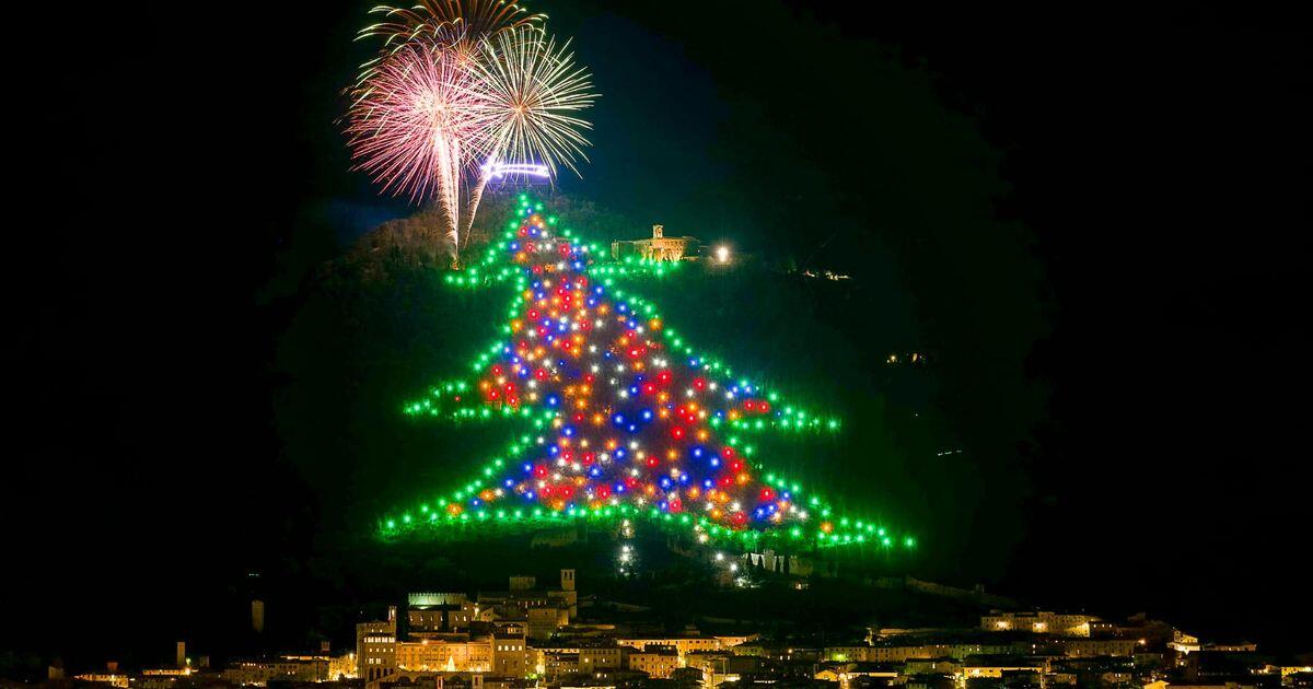 Da Gubbio a Castiglione del Lago, l'Umbria brilla con gli alberi da record - 