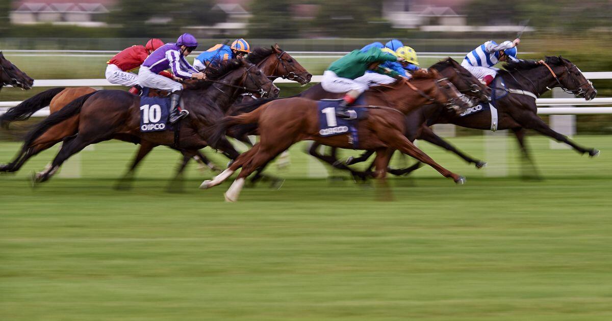 Il futuro dell'ippodromo di Capannelle minacciato da una cartella da 5 milioni di euro - 