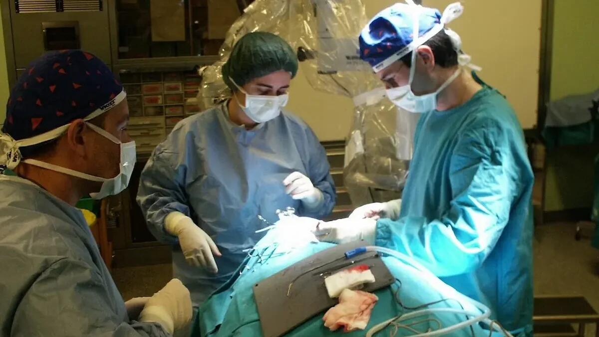 Nuove frontiere della prevenzione: Trieste capitale internazionale della microchirurgia - 