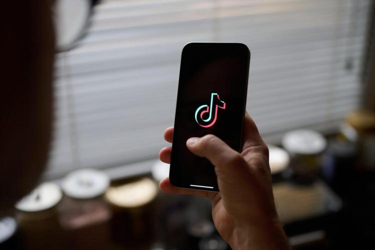TikTok perde appello: obbligo di vendita o rischio di divieto. La società annuncia ricorso - 