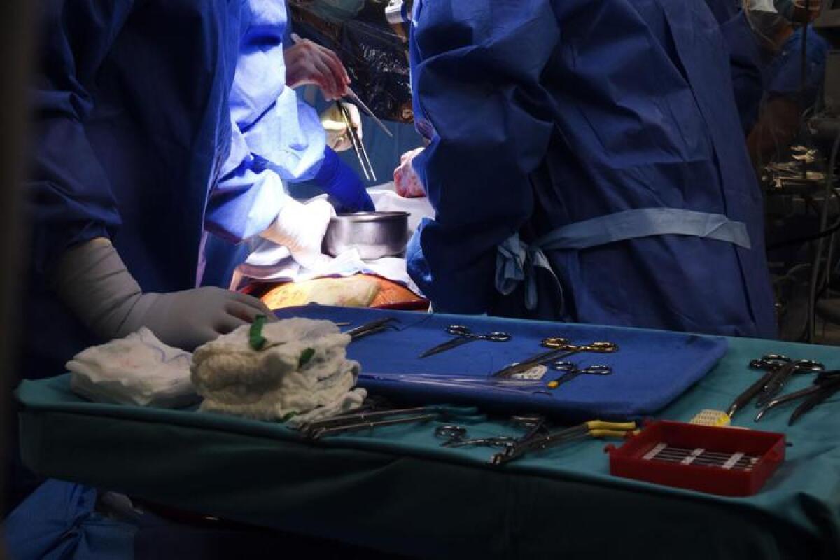 Trapianti: verso il cuore artificiale permanente - primi impianti sperimentali nel 2025 - 