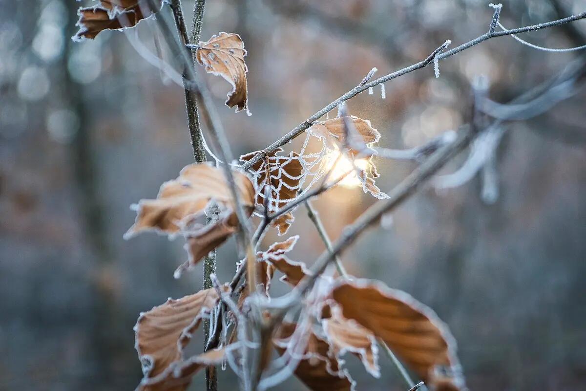 Previsioni Meteo per Veneto e Friuli Venezia Giulia del 27 Dicembre 2024 - 