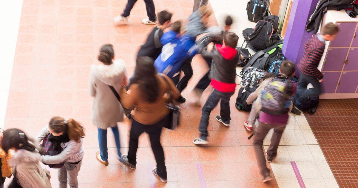 Bullismo in una scuola elementare di Bolzano: studente preso a calci e pugni durante la ricreazione - 
