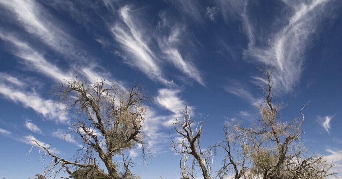 2024: l'anno più caldo di sempre - 