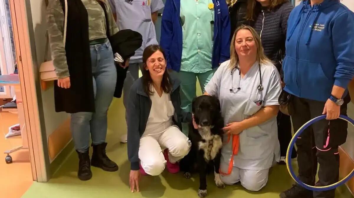 Pet therapy in Pediatria a Latisana: il progetto che porta serenità ai bambini ricoverati - 