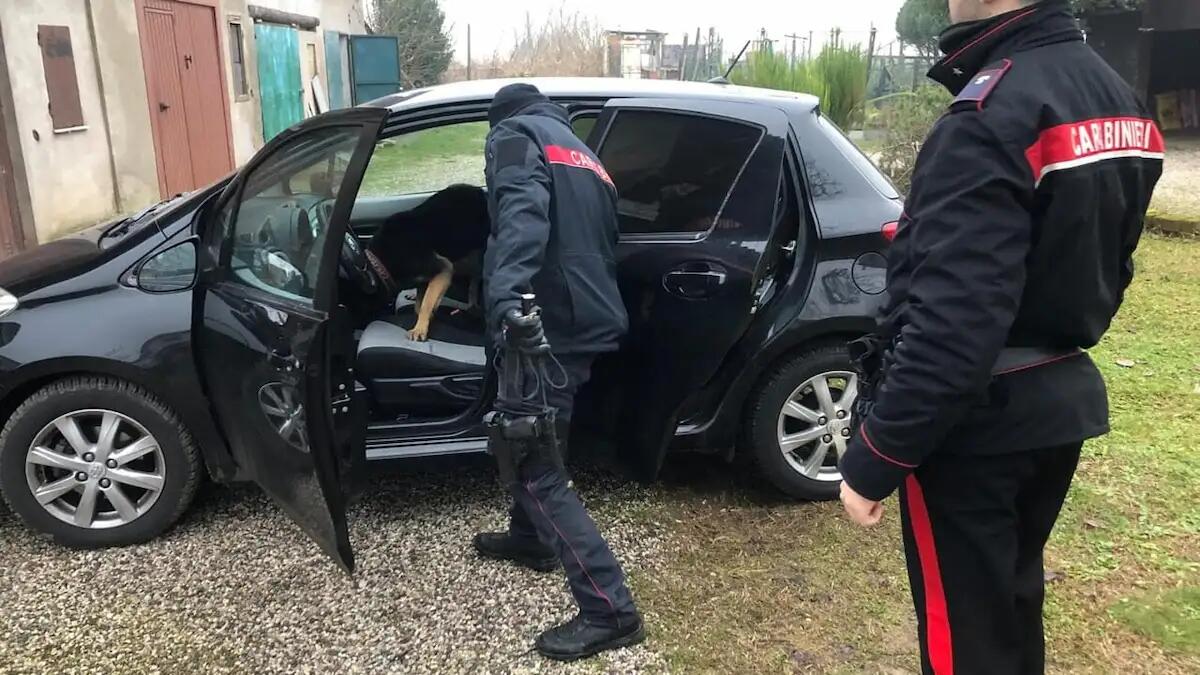Nascondeva droga in una pentola, scovata grazie al fiuto di "Zico": arrestato 20enne - 