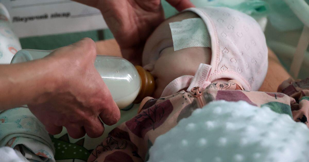 Nel 2023, uno su cinque neonati in Italia ha almeno un genitore straniero - 