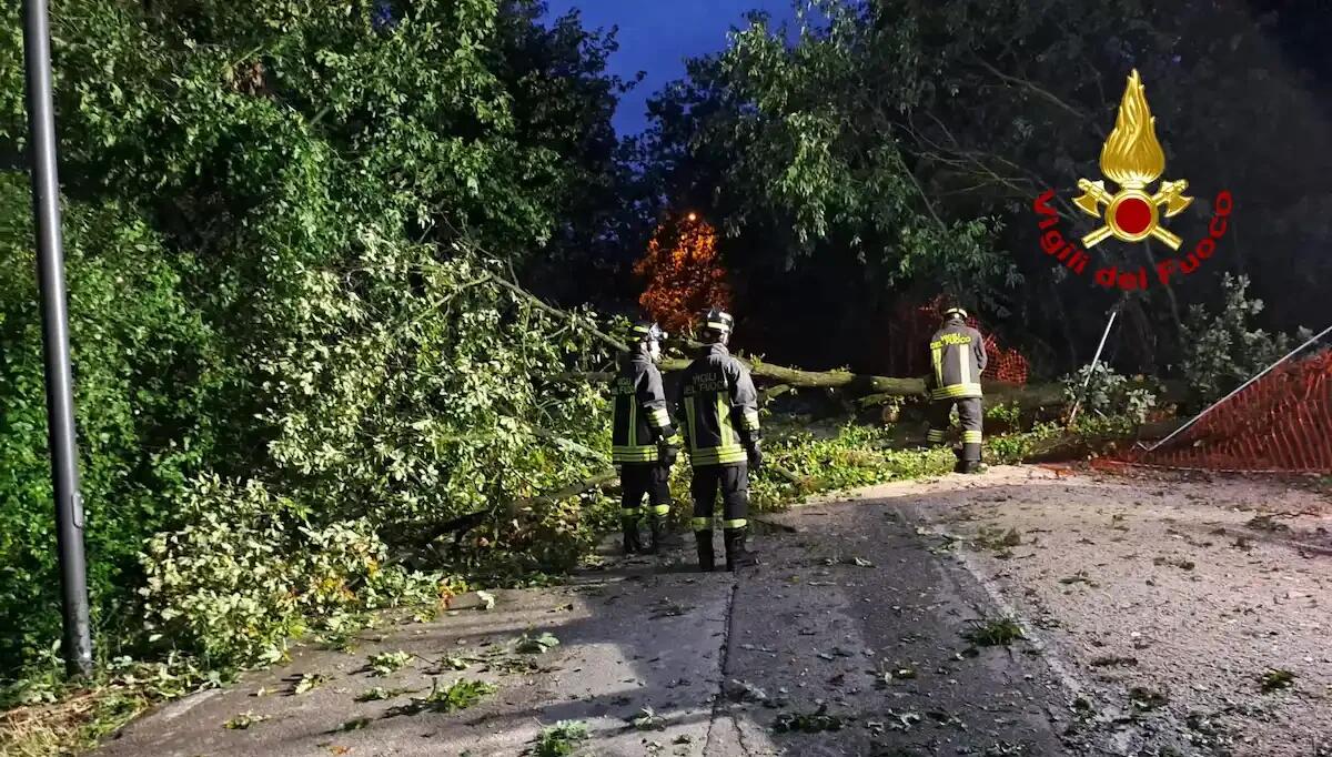 Alberi caduti, tetti danneggiati e blackout: i danni del forte vento in Friuli Venezia Giulia - 