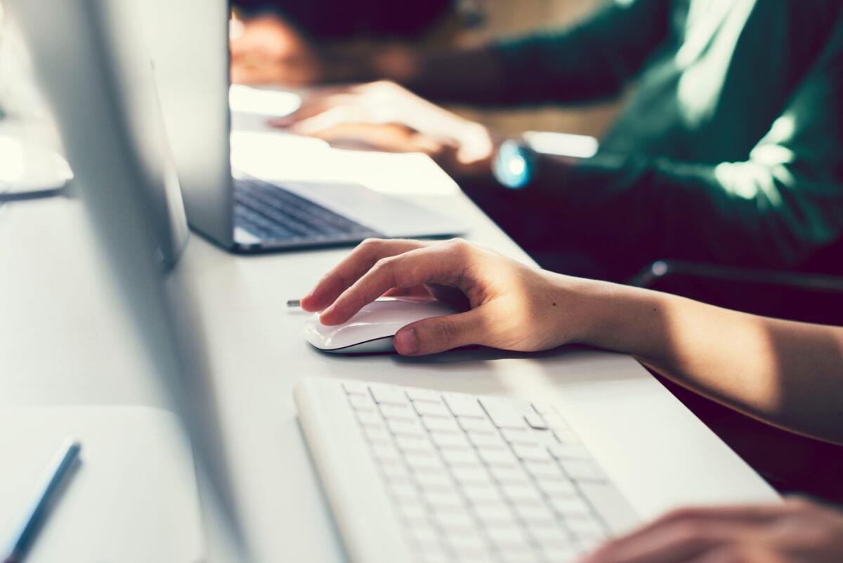 Lavoro in crescita: Istat registra +517mila occupati nel terzo trimestre rispetto all'anno precedente - 