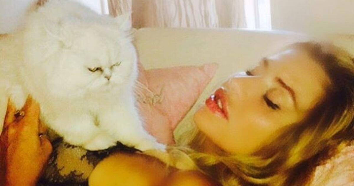 Valeria Marini aggredita in casa da un uomo, denunciato - 