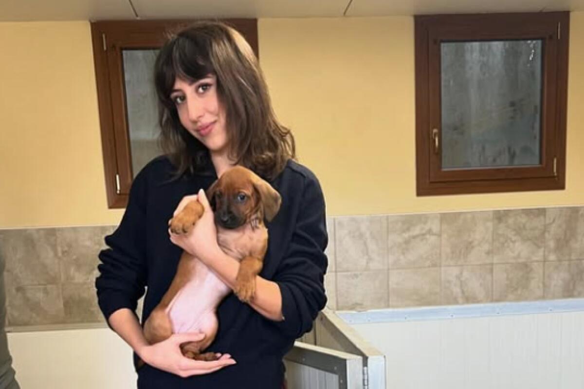 Cecilia Sala arrestata, il compagno Daniele Raineri: "Sentirà tutto il nostro affetto" - 