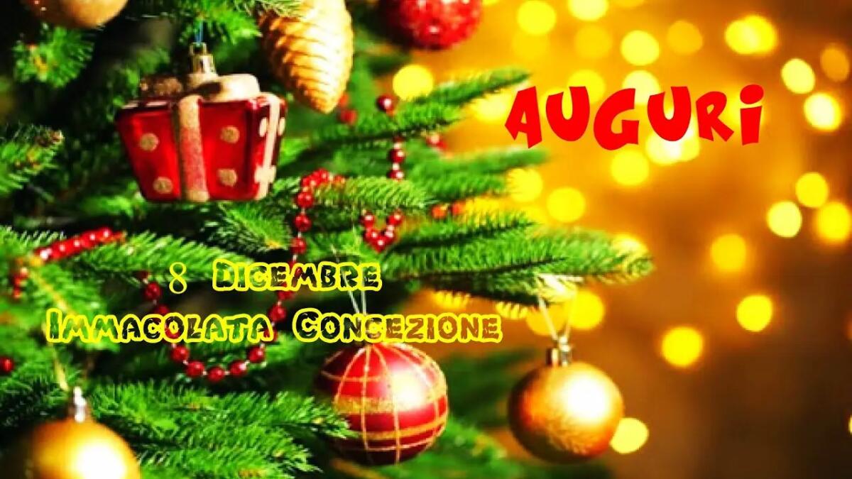 Frasi e immagini di Buongiorno per l'8 dicembre: auguri per la Festa dell'Immacolata - 