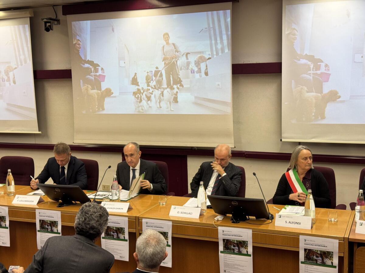 Tor Vergata apre il primo corso di laurea in Medicina Veterinaria nel Lazio - 