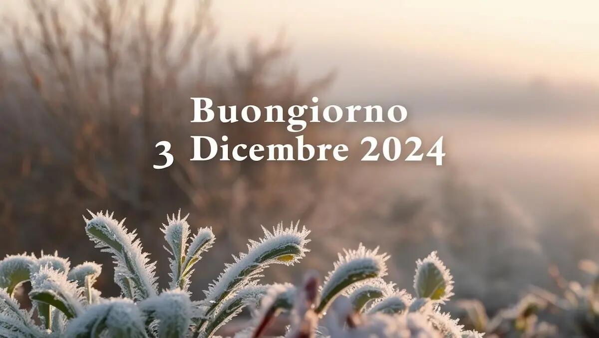 Frasi di "Buongiorno" per il 3 dicembre 2024: un inizio di giornata speciale -