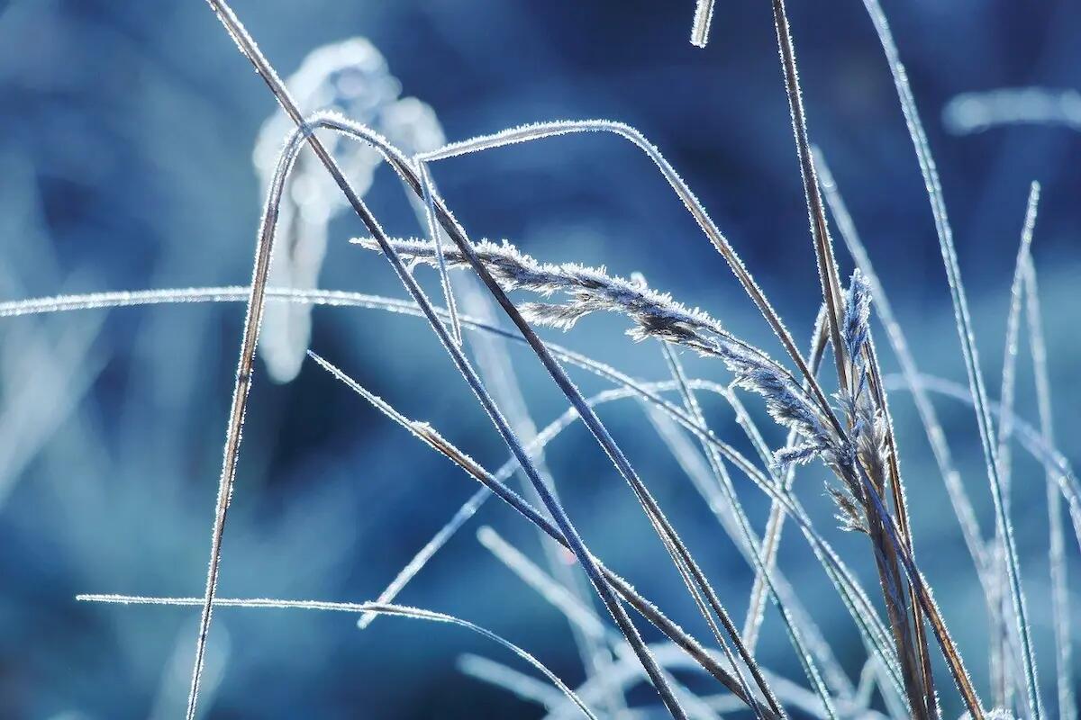 Previsioni meteo per Veneto e Friuli Venezia Giulia del 26 dicembre 2024 - 