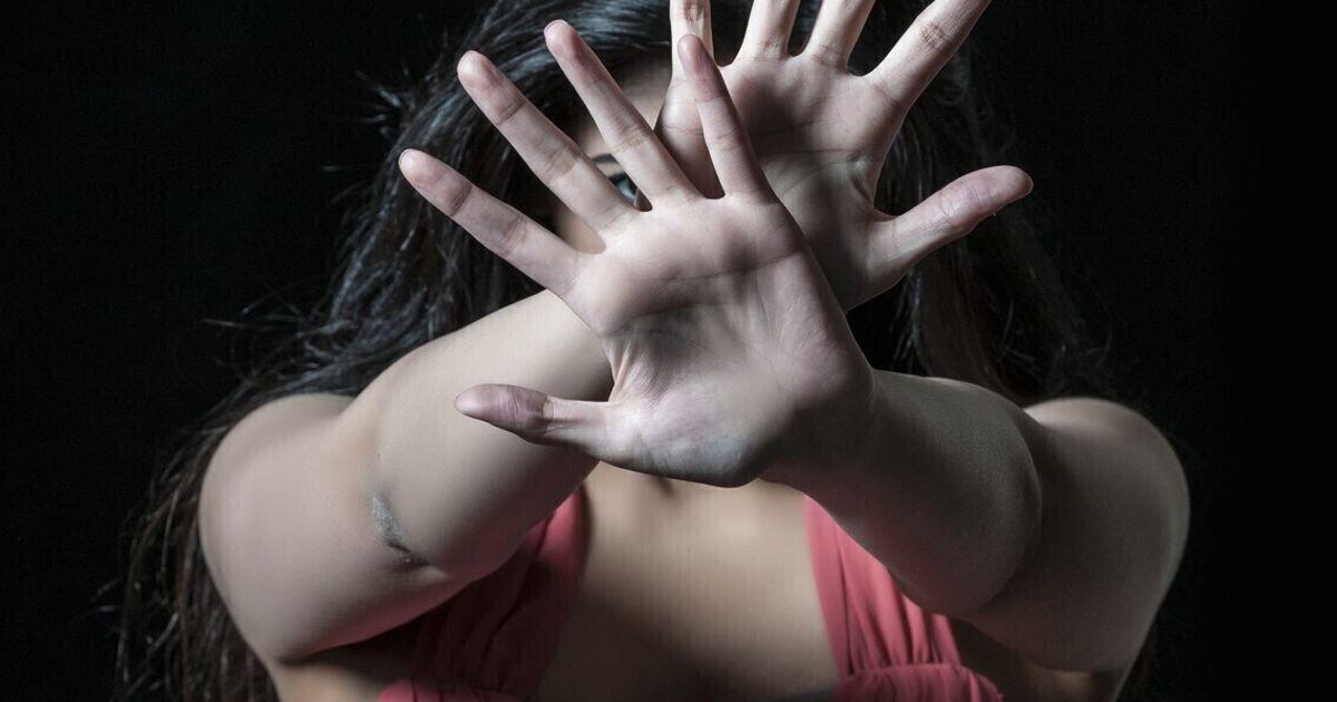 Calci e pugni alla madre: i cani intervengono e salvano la donna. Un 17enne finisce in carcere. - 