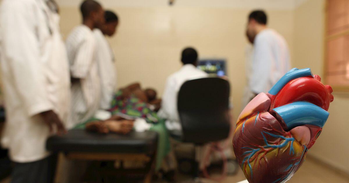 Gli anticorpi monoclonali: un alleato contro il colesterolo cattivo - 