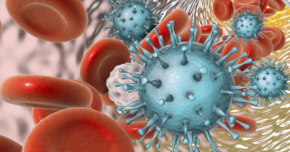 Un'alta percentuale di persone sotto i 50 anni nel mondo convive con l'herpes genitale - 