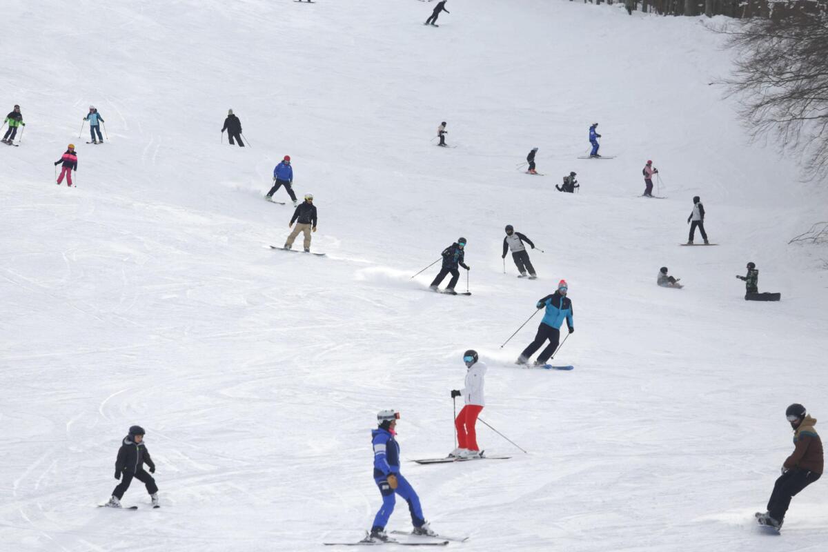 Inizia la stagione sciistica: come evitare gli infortuni dal ginocchio alla spalla - 