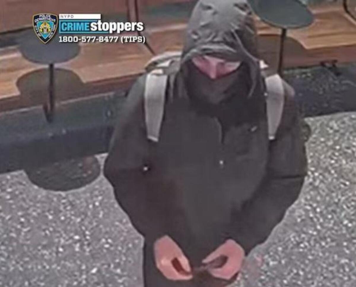 Omicidio a New York: il killer lascia messaggi sui proiettili per Thompson - 