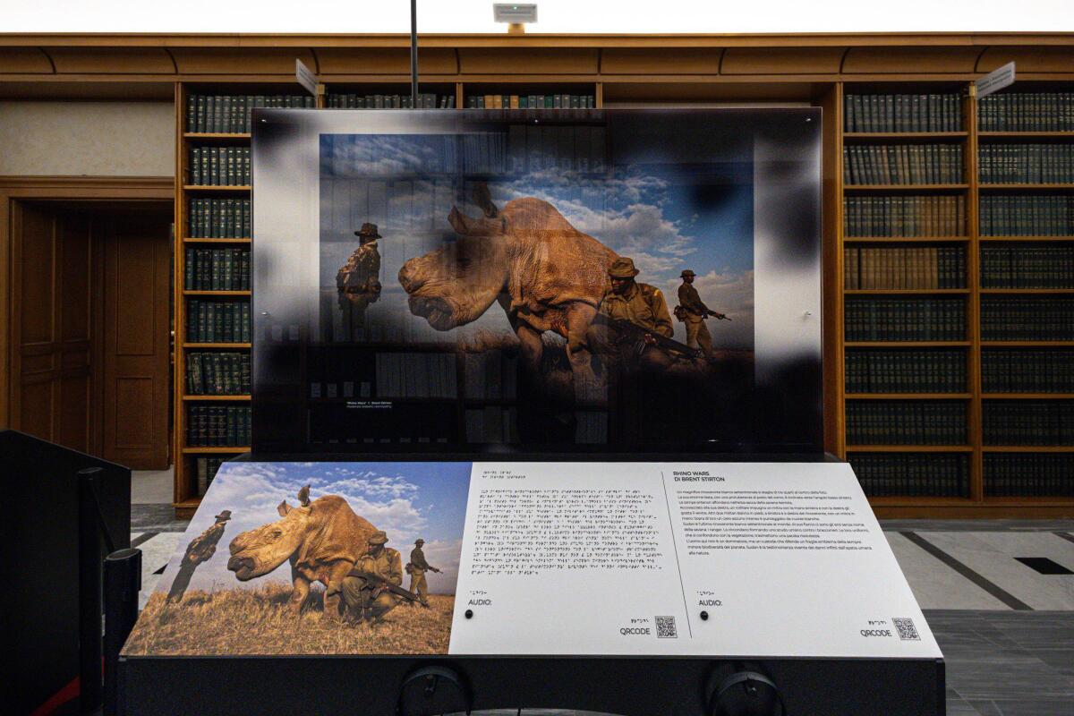 'World Unseen a Roma: una nuova esperienza fotografica' - 