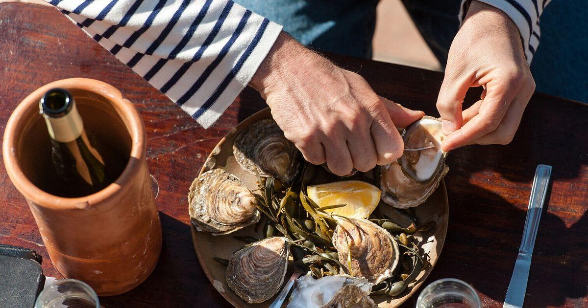 Le ostriche del Lago Lucrino 'rinascerebbero' - 