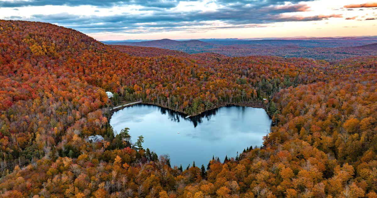 Insufficienza cardiaca: nuovi orizzonti per il cuore artificiale - 
