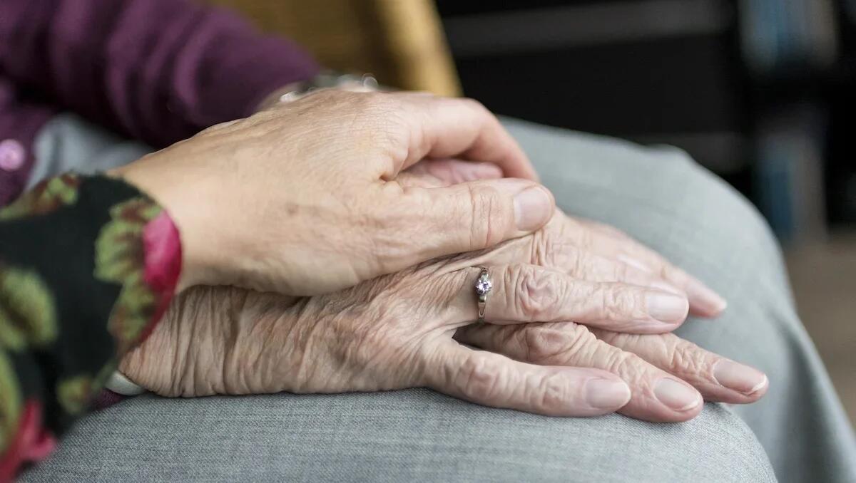 Era stata spinta a terra durante uno scippo: si è spenta Lina Boscolo dopo un calvario di 3 mesi - 