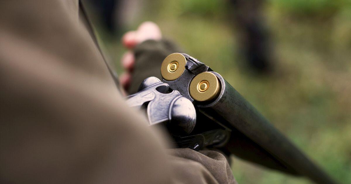 Cade durante la caccia e muore: tragedia nel Foggiano - 