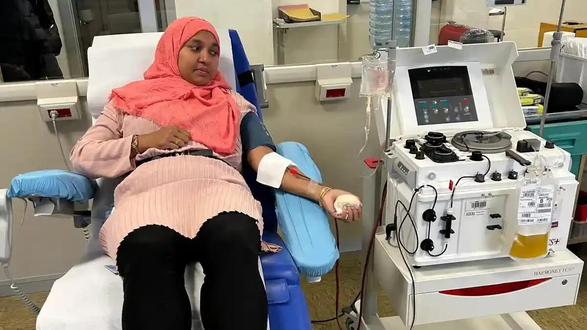 Donazione di sangue a Monfalcone: la prima donna bengalese si unisce all’iniziativa - 
