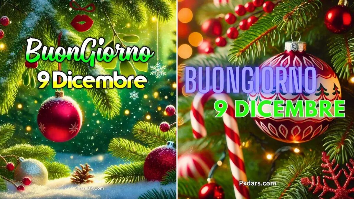 Frasi e immagini di Buongiorno per il 9 Dicembre 2024: quali condividere - 