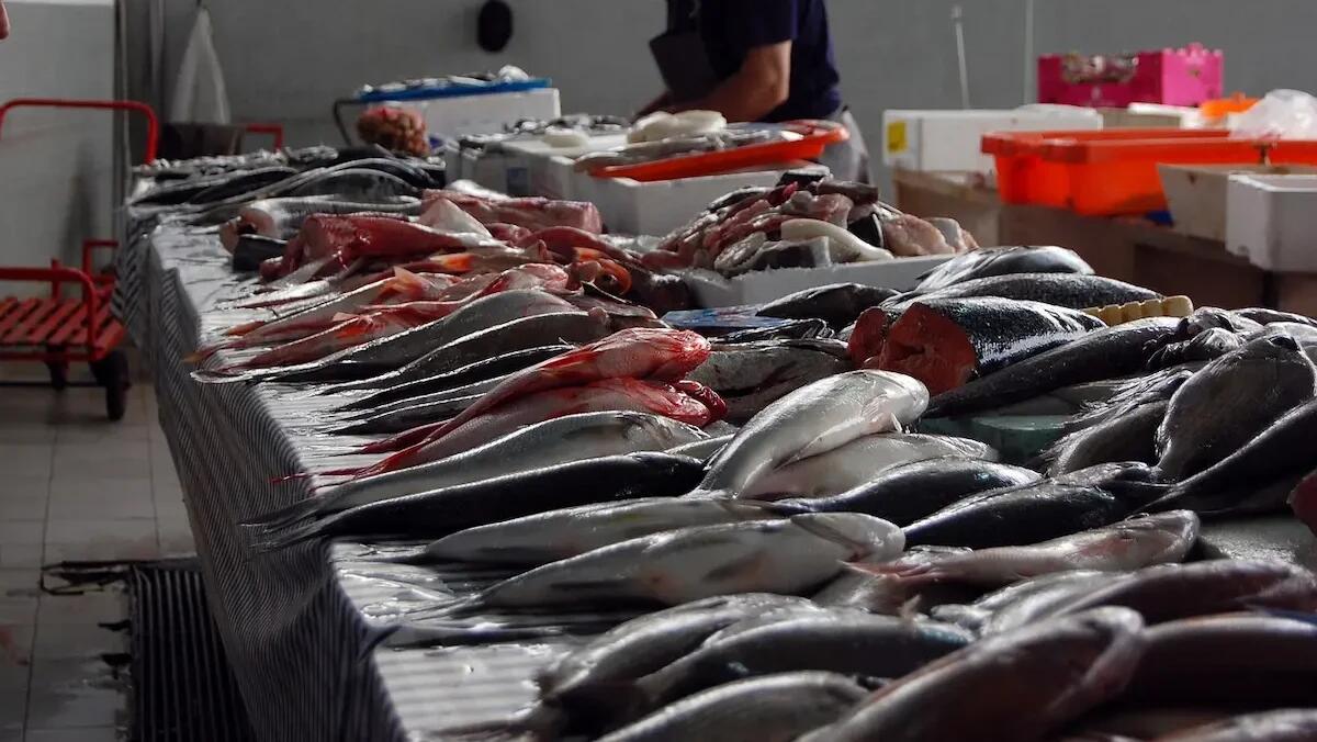 Sequestrate due tonnellate di pesce non conforme alle normative: sanzioni per 42.500 euro - 