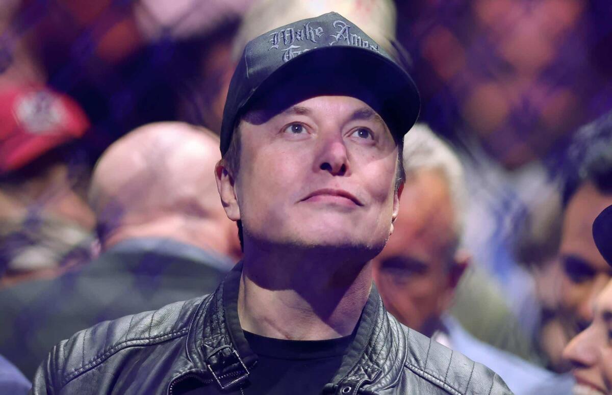 SEC accusa Elon Musk di irregolarità nell'acquisto del social X - 